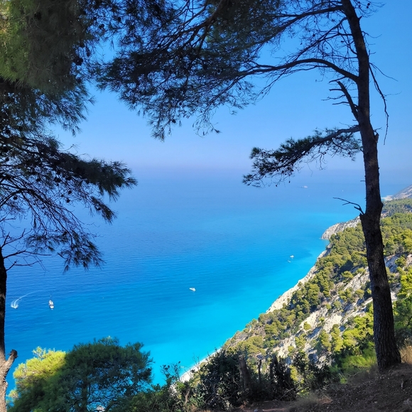 Meet your Posher, Vera - Picture 1 of 15